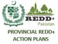 Provincial REDD+ Action Plan