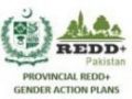 Provincial REDD+ Gender Action Plan