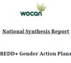 Revised Synthesis Report_REDD+ GAP